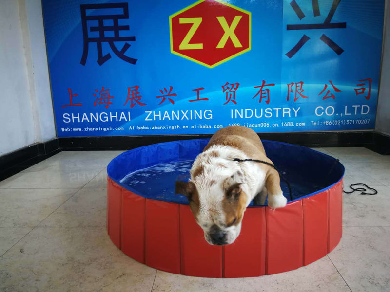 Direct Selling Pet Dog Bathtub Foldable Pet Pool Pet Bathtub Teddy Panda Dog Bathtub