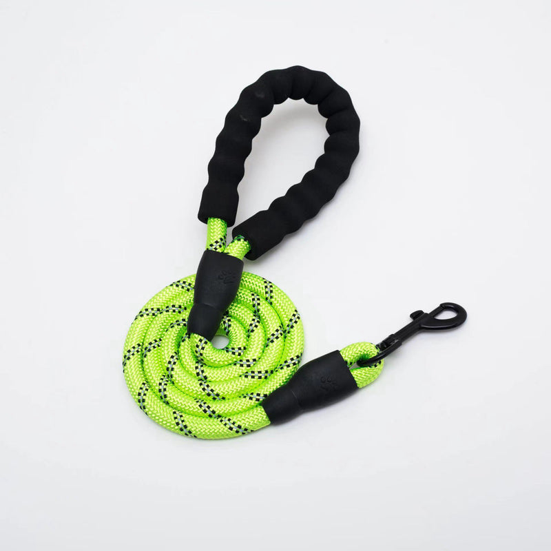 Pet supplies reflective traction rope multi-color nylon round rope large and medium-sized explosion-proof dog rope foam handle traction belt