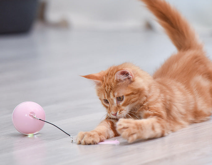 Pet cat toy LED luminous funny cat ball USB charging smart funny cat toy electric rolling ball