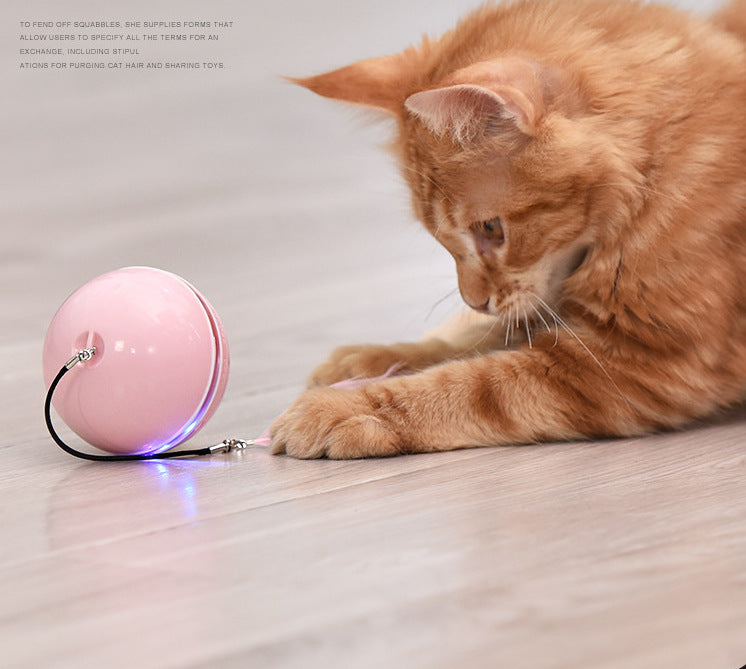 Pet cat toy LED luminous funny cat ball USB charging smart funny cat toy electric rolling ball