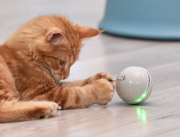 Pet cat toy LED luminous funny cat ball USB charging smart funny cat toy electric rolling ball