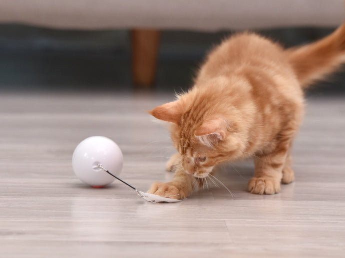 Pet cat toy LED luminous funny cat ball USB charging smart funny cat toy electric rolling ball