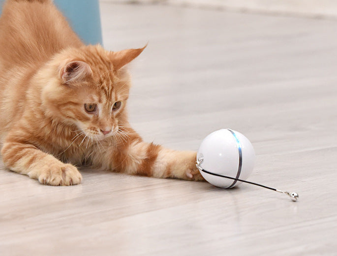 Pet cat toy LED luminous funny cat ball USB charging smart funny cat toy electric rolling ball